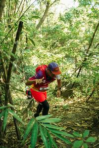 BIB: 
                            <button type="button" onclick="openModal(28159756)" class="btn btn-primary btn-sm float-right btn-popup" data-toggle="modal" data-target=".modal-high-quality">
                        <i class="fas fa-shopping-cart"></i> Add to Cart
                    </button>
                                            <button type="button" onclick="isThisMe(28159756, true)" class="btn btn-success btn-sm float-right btn-popup btn-isme hidden" data-toggle="tooltip" data-placement="bottom" title="นี่คือรูปของคุณใช่ไหม คลิกที่นี่เพื่อเอาเข้าอัลบั้ม">
                        <i class="fas fa-plus"></i> Add to album
                    </button>
                    <button type="button" onclick="isThisMe(28159756, false)" class="btn btn-warning btn-sm float-right btn-popup btn-isnotme hidden">
                        <i class="fas fa-ban"></i> Remove from album
                    </button>